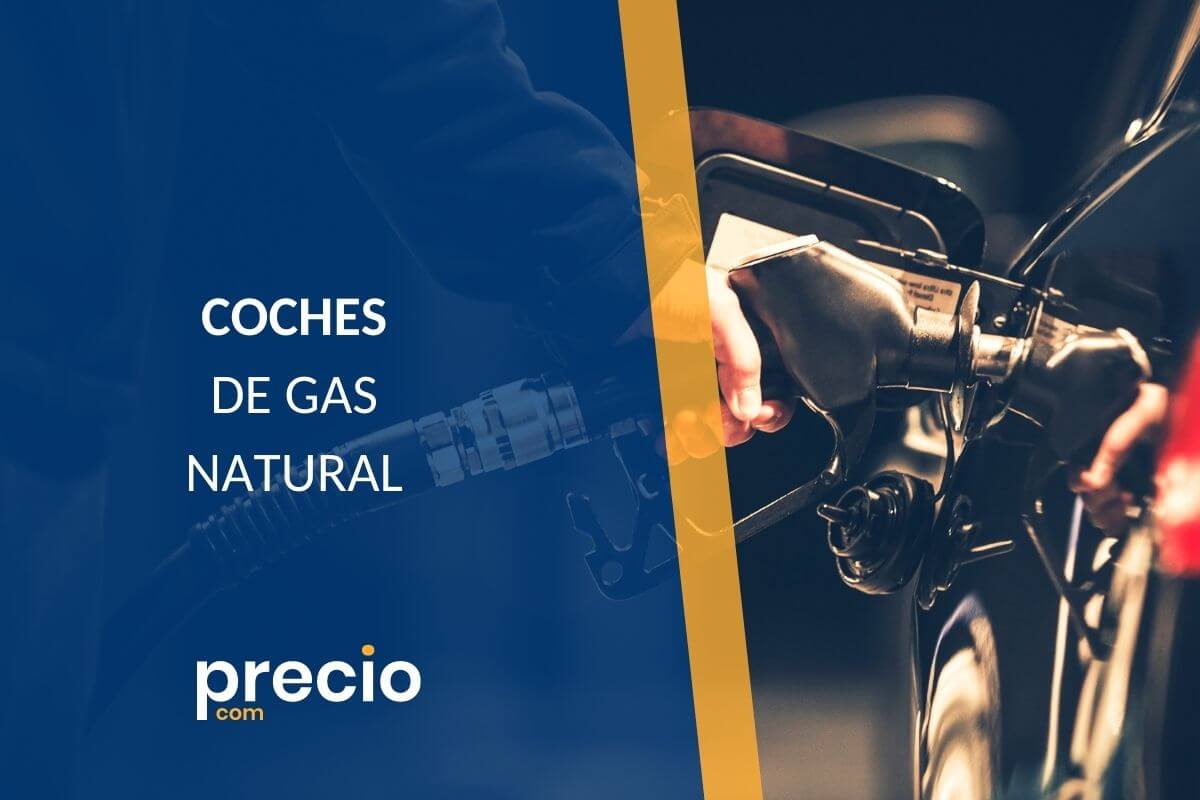 COCHES GAS NATURAL